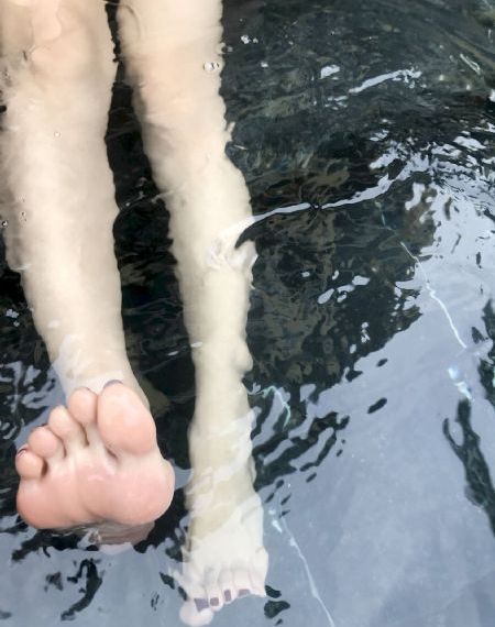 稻田荆棘路鸭兵镇蝗灾