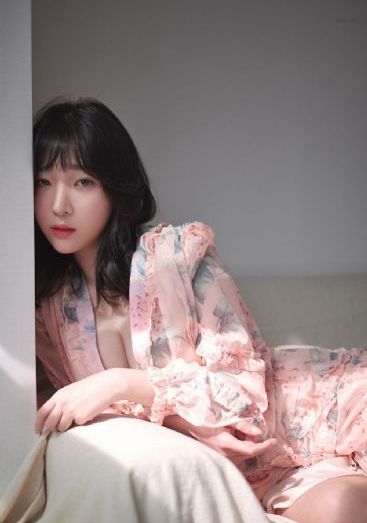 应召女郎的秘密日记\t第三季