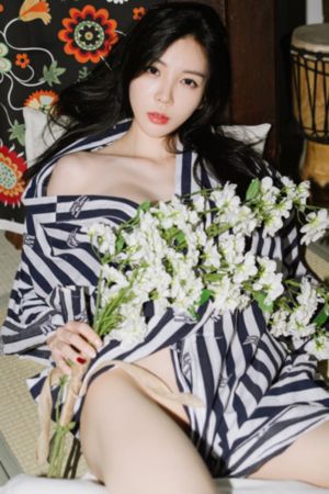反黑英雄普通话版