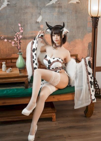 法庭之龙