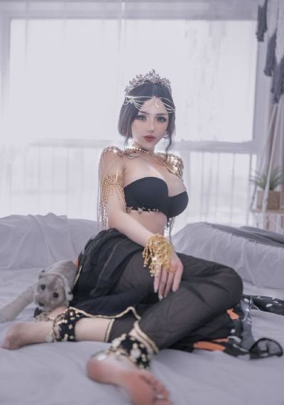 乡村卧龙