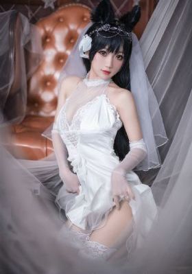 巡回法官